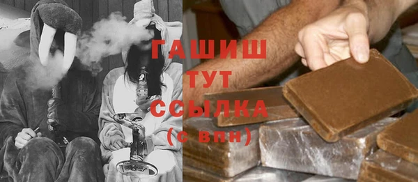 стаф Богданович
